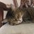 Connie Watts's profile image