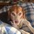 Donna Grant's profile image