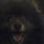 James Thomas's profile image