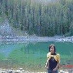 Wendy Liu's profile image