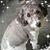 Pamela Allensworth's profile image