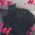 Rebecca Canales's profile image