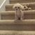 Amber Michelle Smith's profile image
