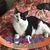 Kathleen Janusz's profile image