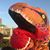 Lisa Wallravin's profile image