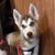 Susan Kinsey McPherson's profile image