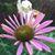 Ann Marie's profile image