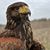 Aesha Remsburg's profile image