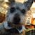 Betsy Day's profile image