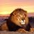 Lev Gindin's profile image
