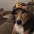William Gene Abercrombie's profile image
