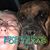 Donna Brightman Wiser's profile image