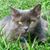 Betty Daniels's profile image