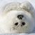 Dena Hopkins Barrett's profile image