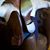 Christopher M Cerecedes's profile image