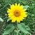 Heidi M Reed's profile image