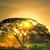 Mike Hatfield's profile image
