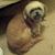 James T Prescott's profile image