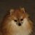 Carla Wood's profile image