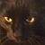 Lisa Palmer's profile image