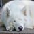 Dave Marchand's profile image