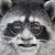Brad Carroll's profile image
