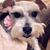 Stephanie Crites-Ward's profile image