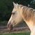 Robin McNabb's profile image