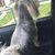 Diana N. Balderas's profile image