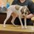 Laura Kilby's profile image