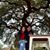 Lynn T Huynh's profile image
