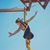 Zoë-Rose Walth's profile image