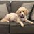 Natalie Lutterman's profile image