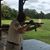 Richard Carl Greer's profile image