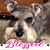 Linda Etling Anderson's profile image