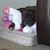 Theresa Barlam-Aldrich's profile image
