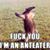 Damien Alexander's profile image