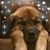Laurie Ethridge Pierdon's profile image