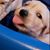 Kim Rau's profile image