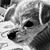 Chris Moss Burke's profile image