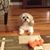 Marcia Reis's profile image
