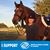 Lynne Richman Bell's profile image