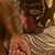 Jose Alfredo Uribe Castellanos BoOvopet's profile image
