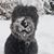 Tonya Claude Austin-Braxton's profile image