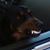 Trueman Reynolds's profile image