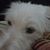 Michael Morin's profile image