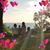 Jill Sue Brengle's profile image