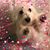 Denise Sanches's profile image