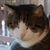 Brooke Witham's profile image