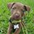 Ken Joyner's profile image